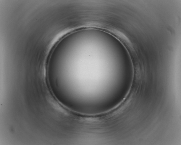 X0000115501280200911061320