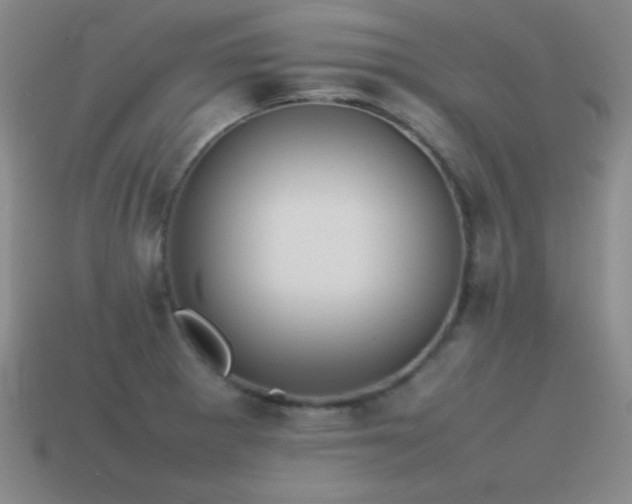 X0000115501281200911061320