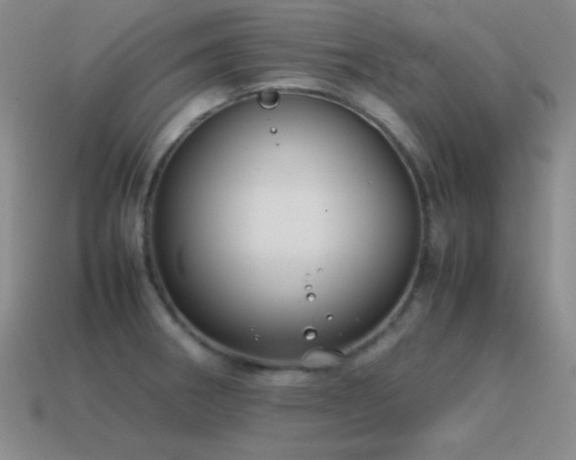 X0000115501282200911061320