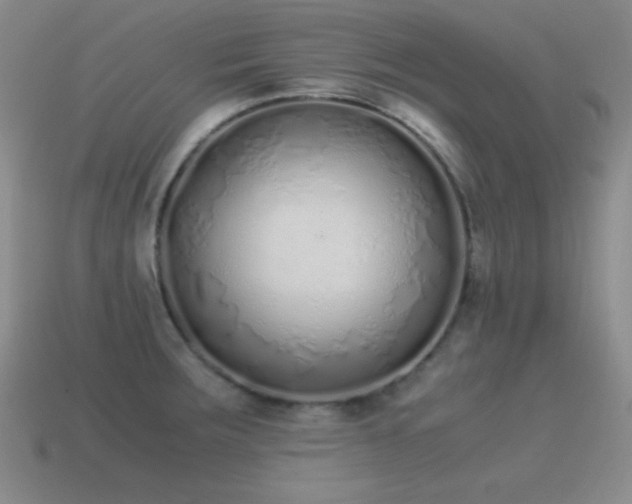 X0000115501283200911061320