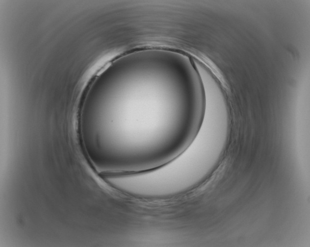 X0000115501285200911061320