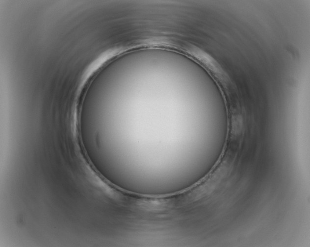 X0000115501286200911061320