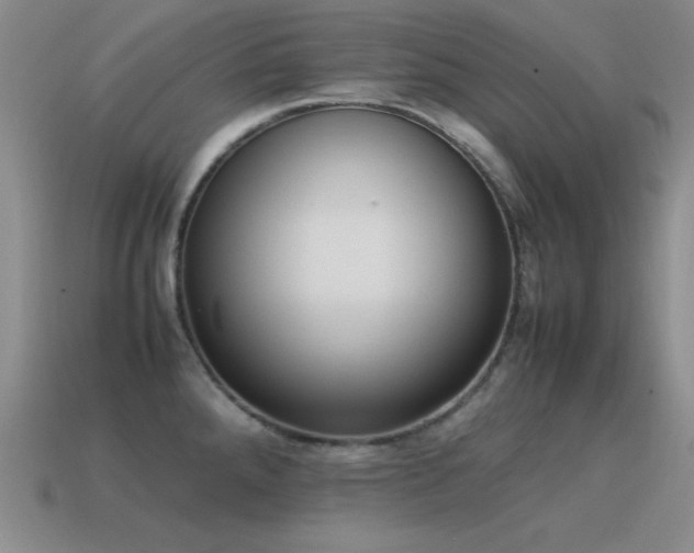 X0000115501288200911061320