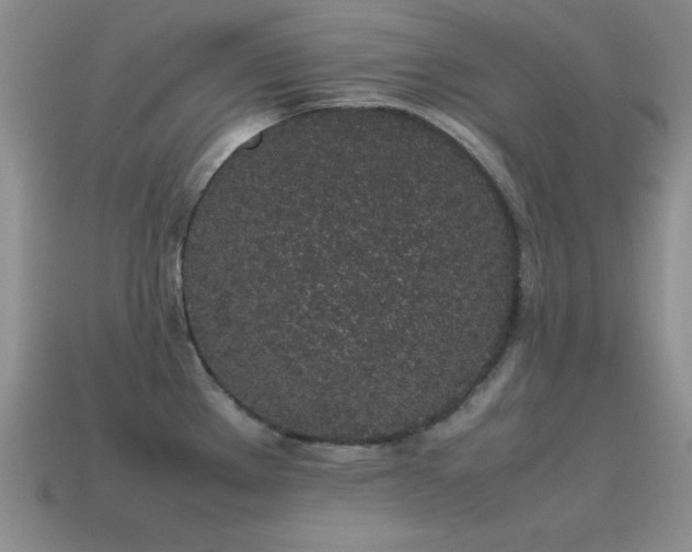 X0000115501289200911061320
