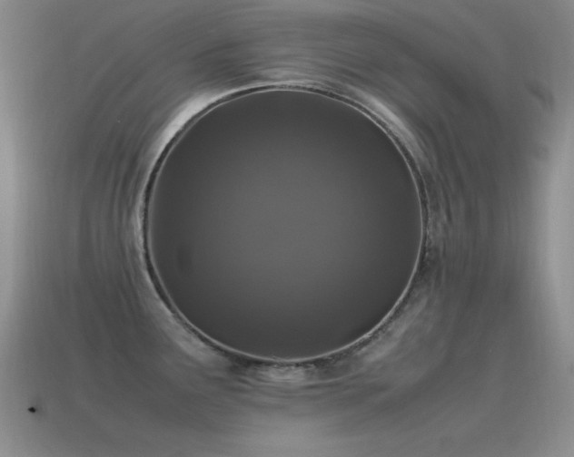 X0000115501291200911061320