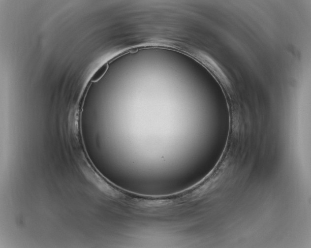 X0000115501292200911061320