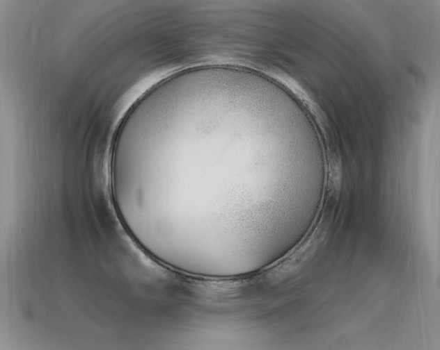 X0000115501294200911061320