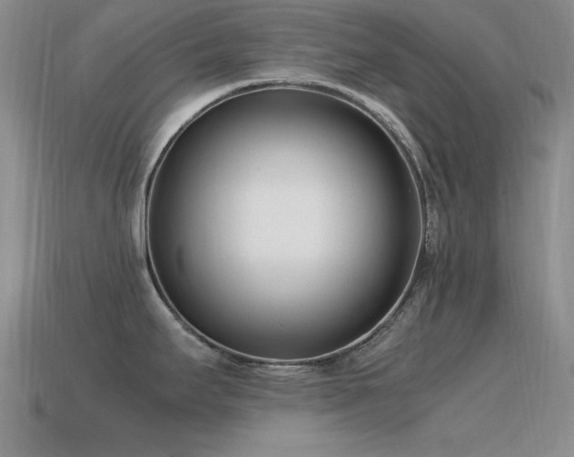 X0000115501295200911061320