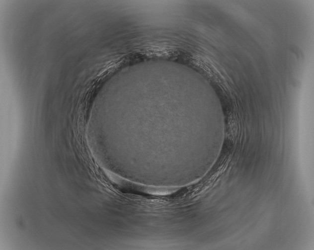 X0000115501297200911061319