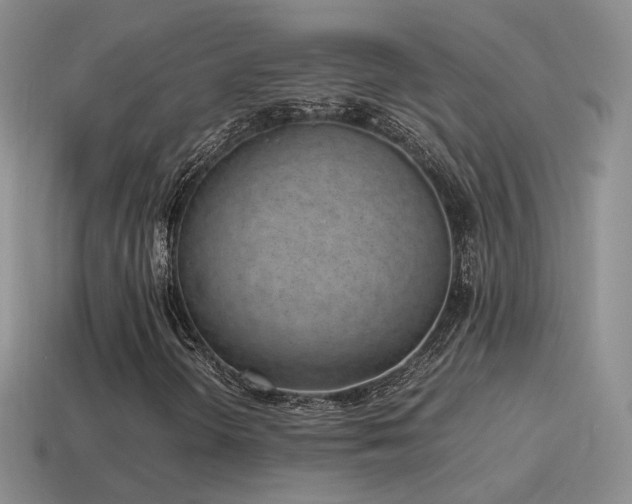 X0000115501298200911061319