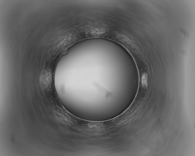 X0000115501299200911061319
