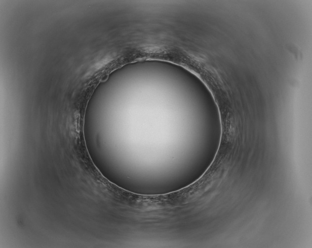X0000115501301200911061319