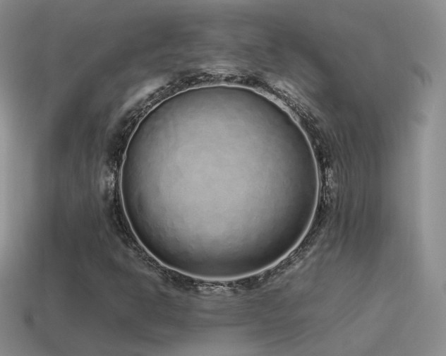 X0000115501302200911061319