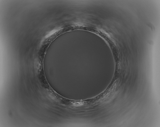 X0000115501303200911061319