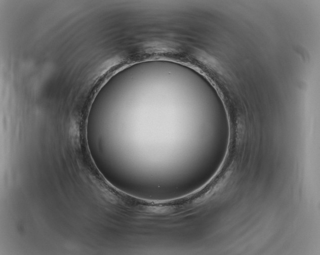 X0000115501305200911061319