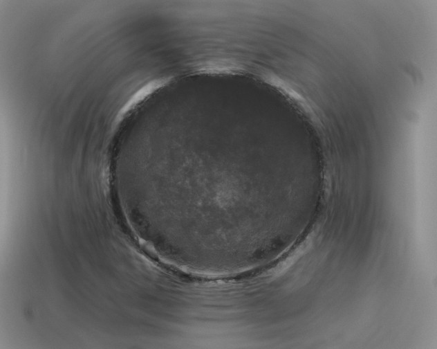 X0000115501306200911061319