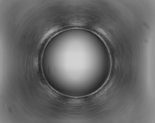 X0000115501307200911061319