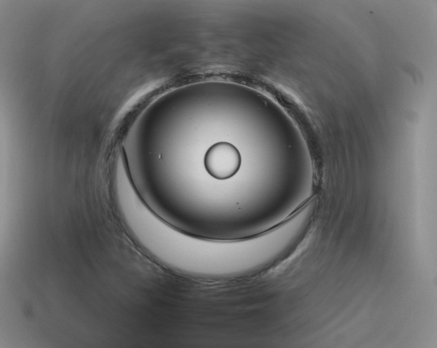 X0000115501309200911061319