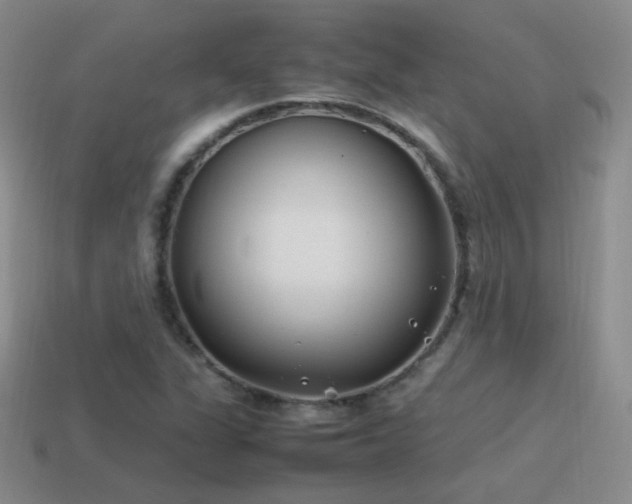 X0000115501311200911061319