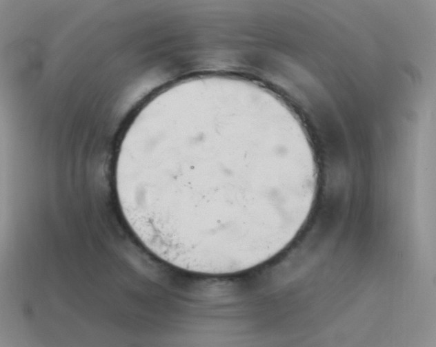 X0000115501314200911061319