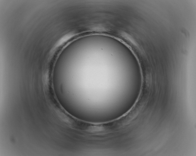 X0000115501315200911061319