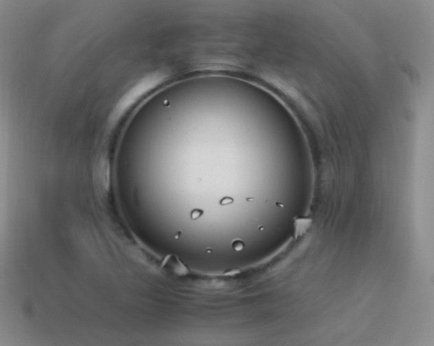 X0000115501317200911061319