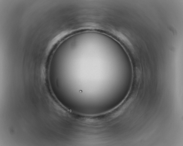 X0000115501318200911061319