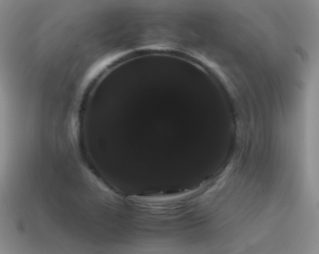 X0000115501319200911061319