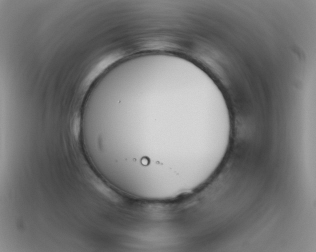 X0000115501322200911061319