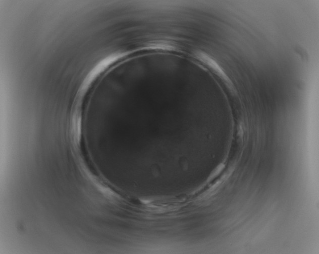 X0000115501323200911061319