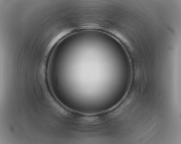 X0000115501325200911061319