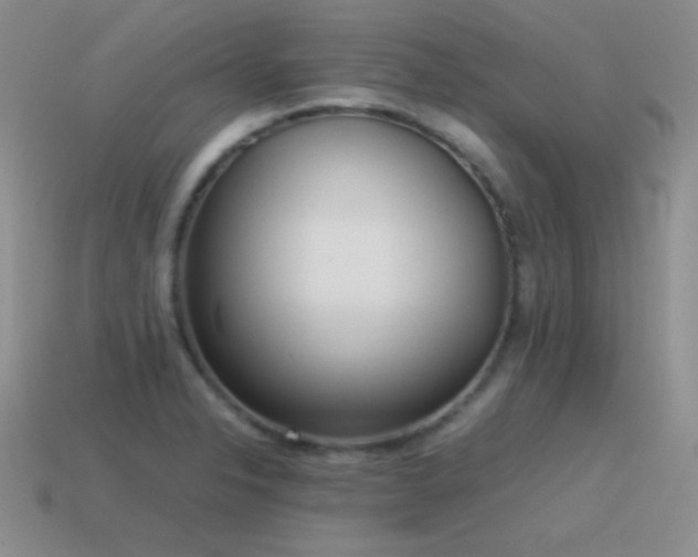 X0000115501326200911061319