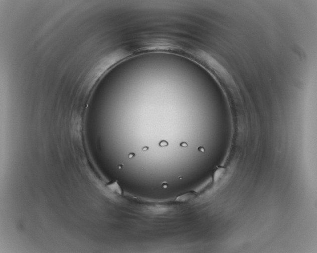 X0000115501329200911061319