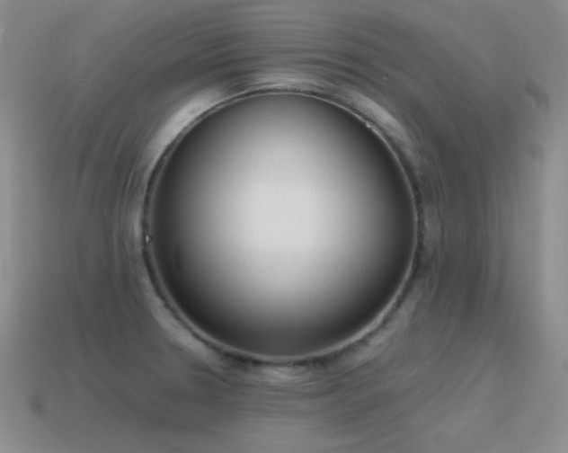 X0000115501330200911061319