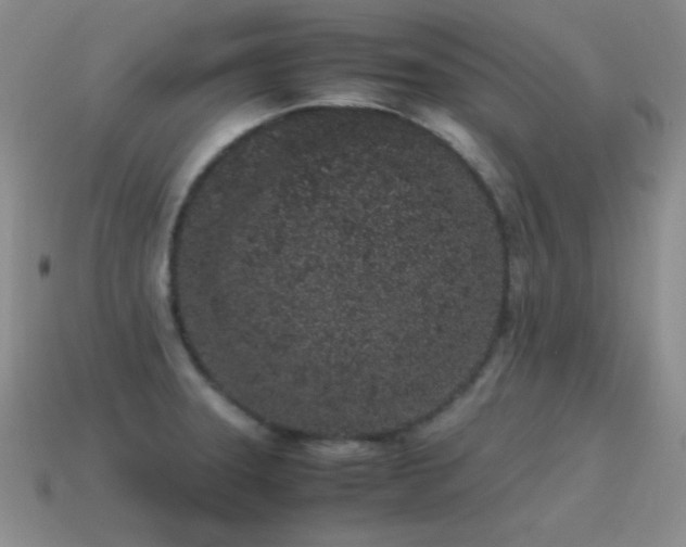 X0000115501331200911061319