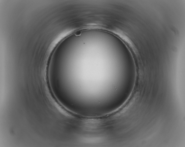 X0000115501333200911061319