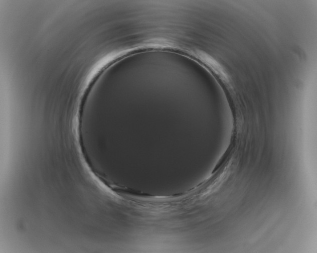 X0000115501334200911061319
