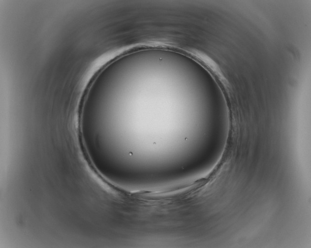 X0000115501335200911061319