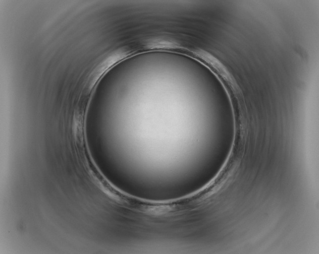 X0000115501337200911061320