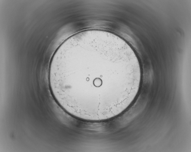 X0000115501338200911061320
