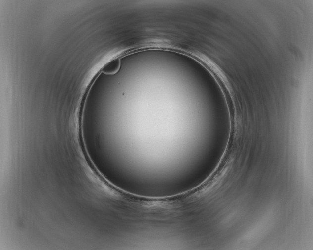 X0000115501341200911061320