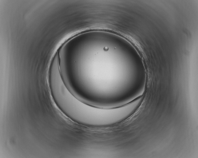 X0000115501342200911061320