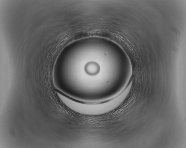 X0000115501345200911061319