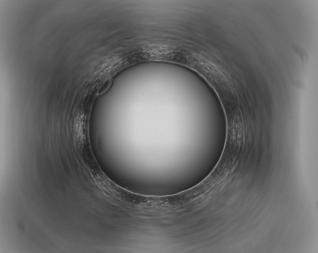 X0000115501346200911061319