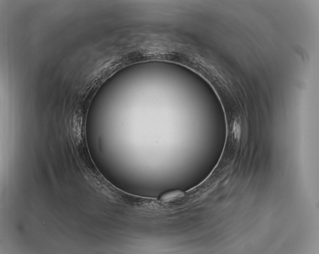 X0000115501348200911061319