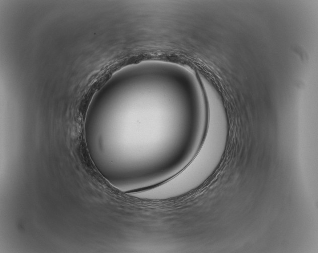 X0000115501349200911061319