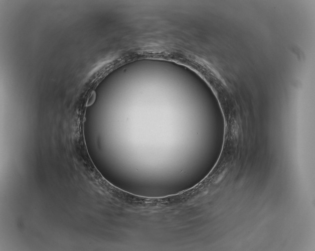 X0000115501350200911061319