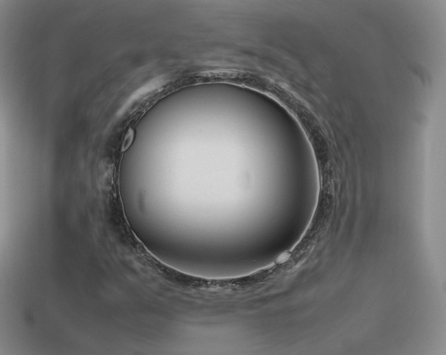 X0000115501351200911061319