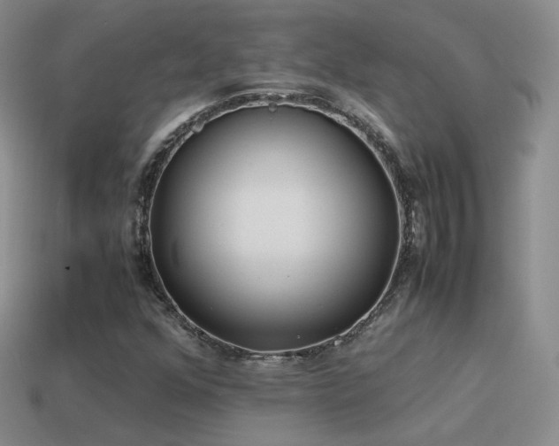 X0000115501352200911061319