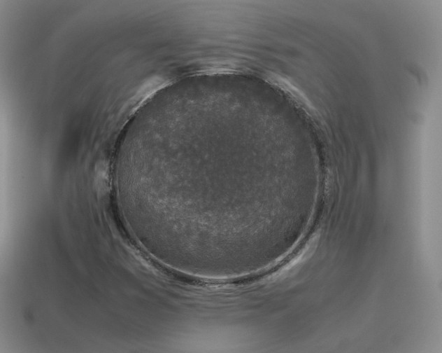X0000115501353200911061319